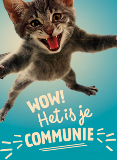 Wow het is je communie