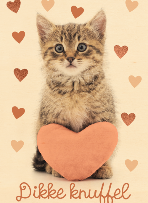 Liefde kaart kat met hart en dikke knuffel