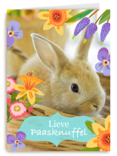 Lieve paasknuffel