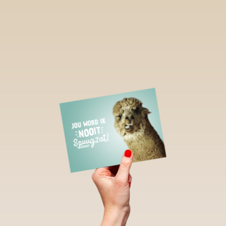 jou word ik niet spuugzat
