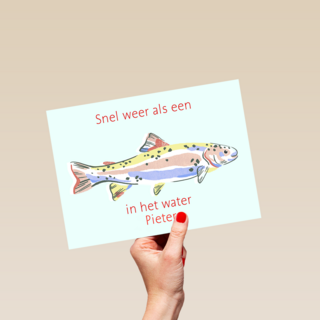 Beterschap Snel Weer Als Een Vis