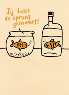 je hebt de sprong gemaakt