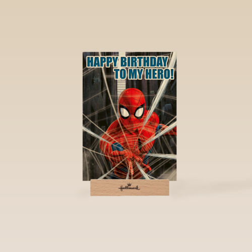 Spiderman verjaardagskaart to my hero