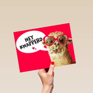 valentijnskaart grappig hey knapperd lama