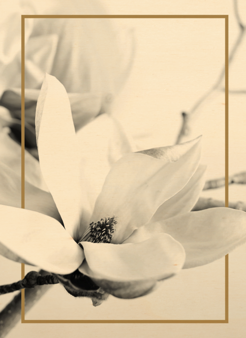 Houten Kaart Condoleance Kaarten | Houten Kaart Hallmark | Condoleance Kaarten | Meerdere Witte Bloemen Met Goud Randje