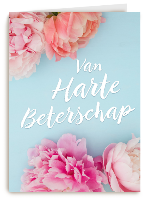 Kaart Hallmark | Beterschapskaarten | Beterschapskaart Foto Met Bloemen Van Harte Beterschap