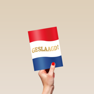 geslaagd kaart nederlandse vlag