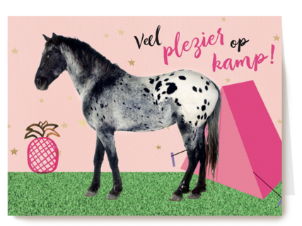 op kamp kaart voor een meisje met de tekst veel plezier op kamp