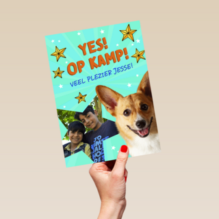 Op kamp corgi
