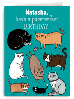verjaardag vrouw grappig have a purrrrfect birthday