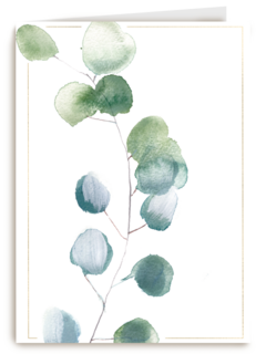 blanco condoleancekaart met plant