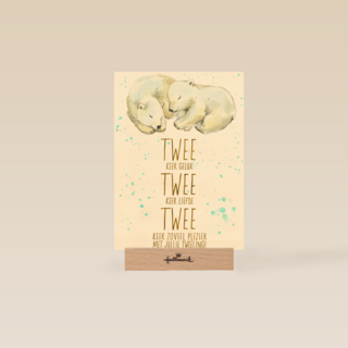 2 keer geluk 2 keer liefde 2 keer plezier met jullie tweeling