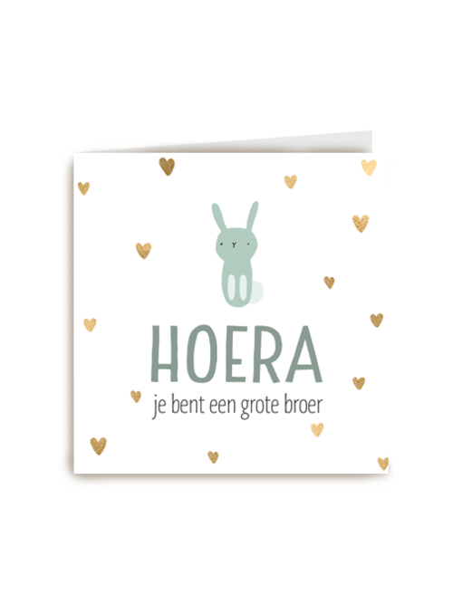geboorte broer hoera je bent grote broer