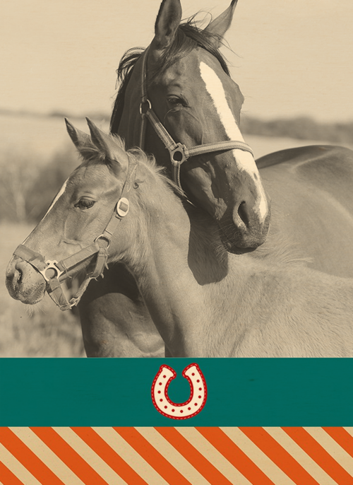 Houten Kaart Dierendag | Houten Kaart Hallmark | Dierendag | Fotokaart Voor Paarden