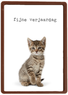 Verjaardagskaart Furry cuddles poes