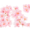 Kneipp Cadeauset Soft Skin Moments 