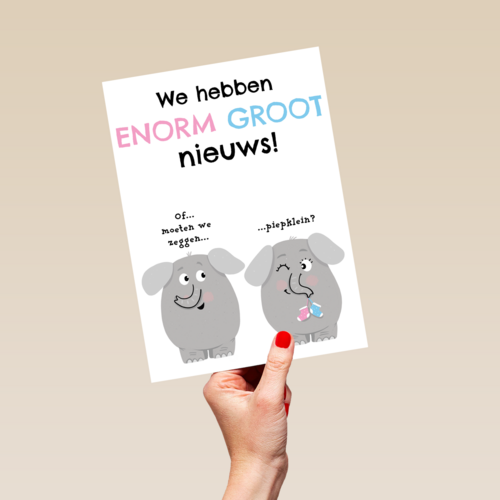 zwangerschap we hebben enorm groot nieuws