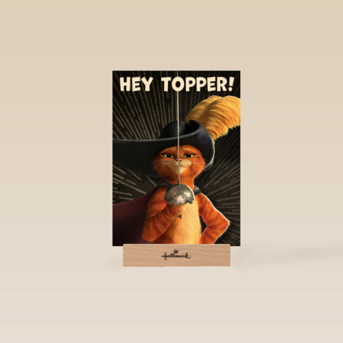 Puss in boots verjaardagskaart Hey topper