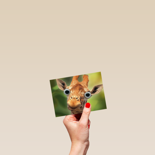 animal fiesta een giraffe met grote ogen