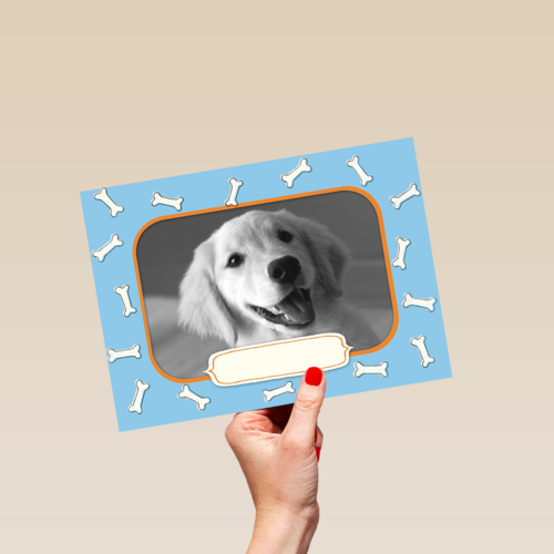 fotokaart met groetjes van onze hond