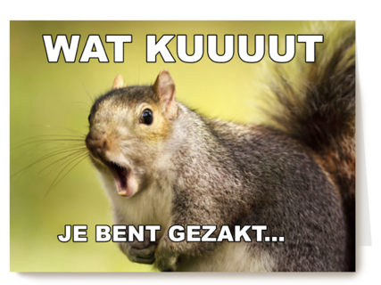 gezakt kaart wat kuuuut