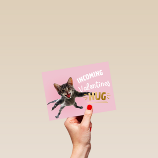 valentijnskaart grappig incoming valentines hug