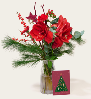 Boeket Bloemen Rouge Noelle