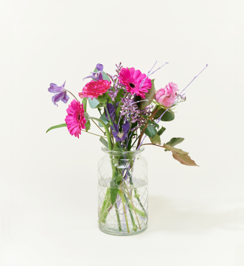 Brievenbusbloemen Sweet Purple