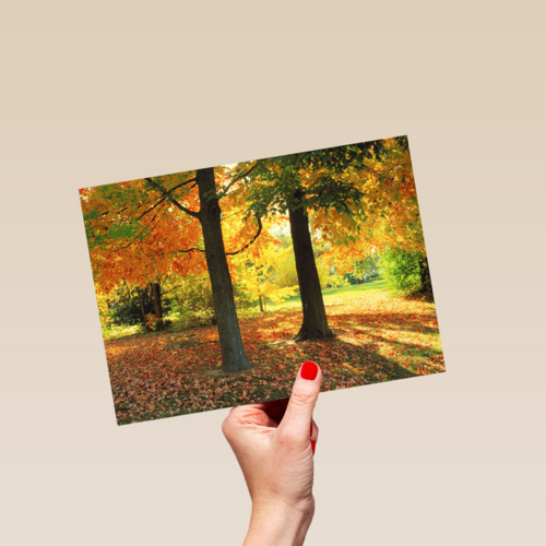 een zonnige namiddag in de herfst