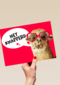 valentijnskaart grappig hey knapperd lama