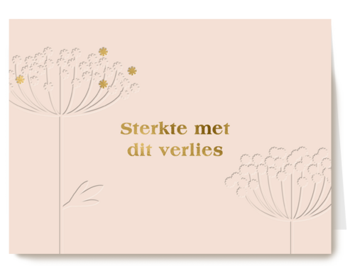 Condoleance kaart sterkte met dit verlies