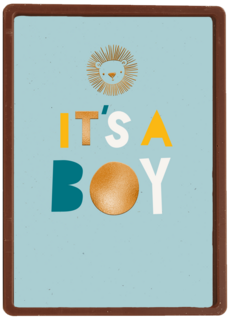 Leeuw it is a boy