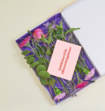 Brievenbusbloemen Sweet Purple