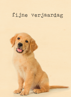 Verjaardagskaart Furry cuddles hond