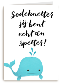 jij bent echt een spetter