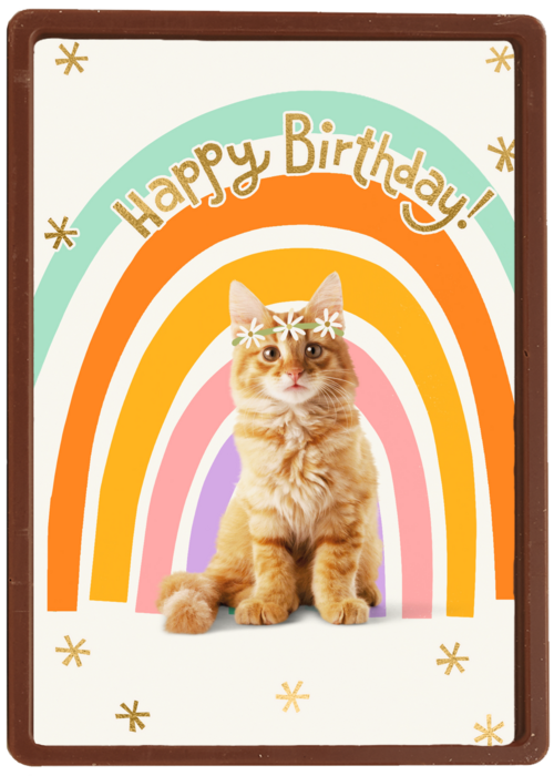 Regenboog kat Happy Birthday