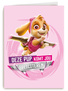 Paw Patrol deze pup komt jou feliciteren