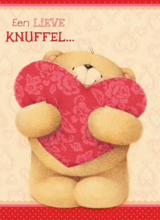 groot hart een lieve knuffel
