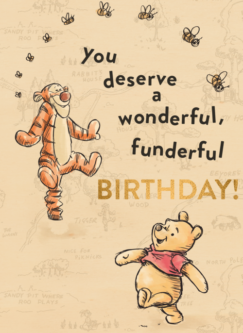 Winnie en Tijgertje wonderful birthday