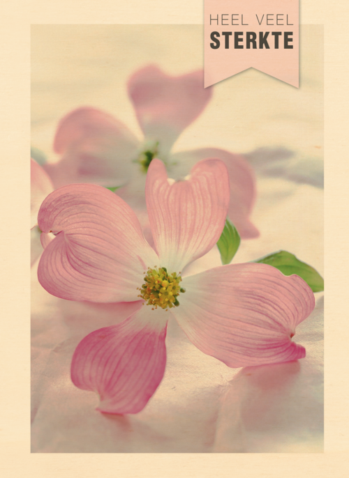 Houten Kaart Condoleance Kaarten | Houten Kaart Hallmark | Condoleance Kaarten | Sterkte Heel Veel Sterkte