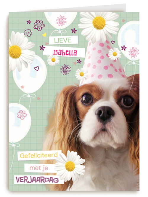 Verjaardagskaart Hallmark | Prodo Dieren Lieve Gefeliciteerd Met Je Verjaardag