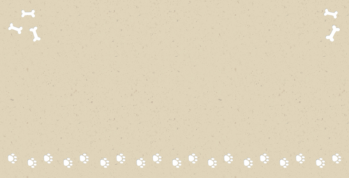 fotokaart dierendag hondenbotjes
