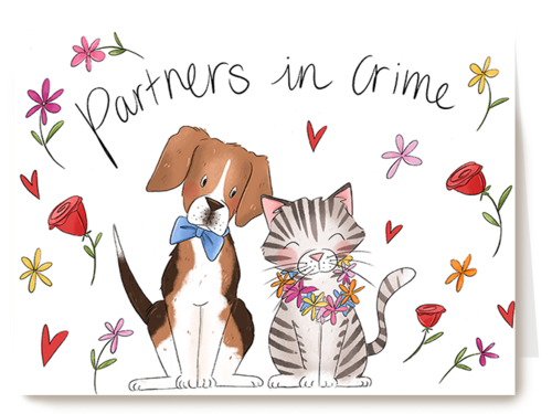 Matia Partners in crime