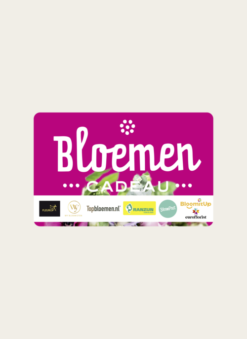 Bloemen Cadeaubon | Wonderbox Cadeau |