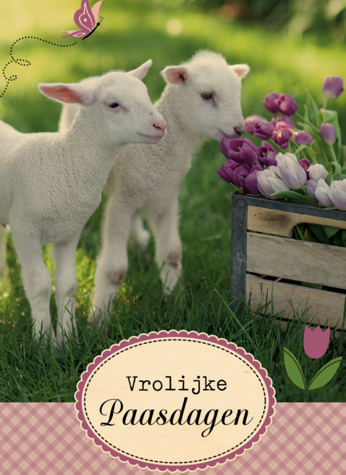 Houten Kaart Pasen | Hallmark | Houten Kaart Hallmark | Pasen | Lammetje Bloem Pasen