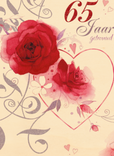 Jubileum briljant 65 jaar getrouwd
