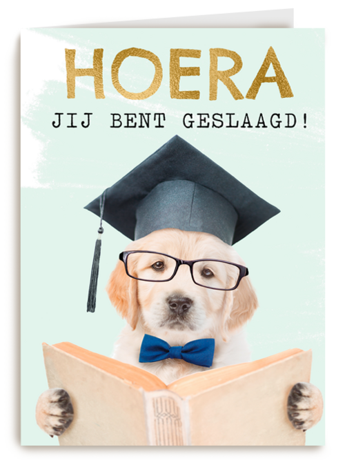 Hoera geslaagd slimme hond