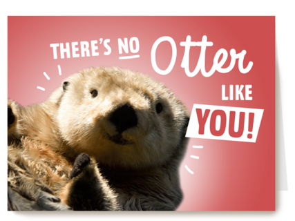 theres no otter like you