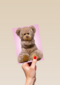 Chromazone Roze knuffelbeer