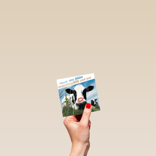 dikke verjaardagskus van een koe